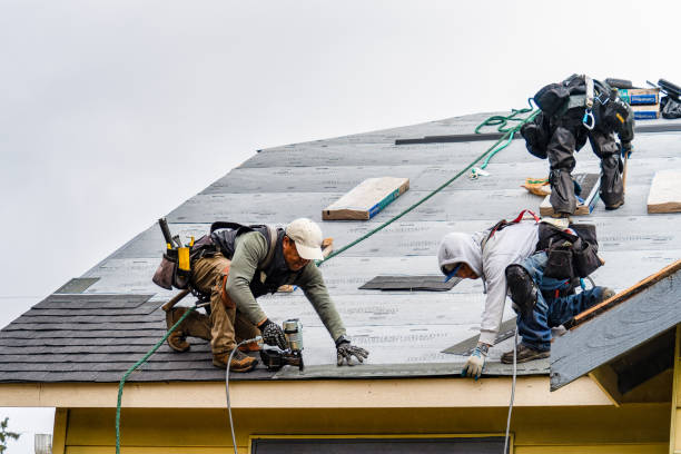 Professional Roof Replacement technician working in Saint Hilaire, MN