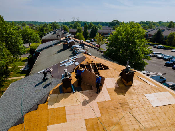 24/7 Emergency Roof Replacement experts in Saint Hilaire, MN